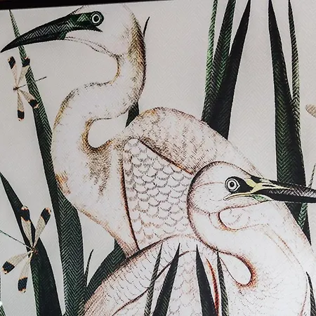 View Garbary By Renters Appartement *